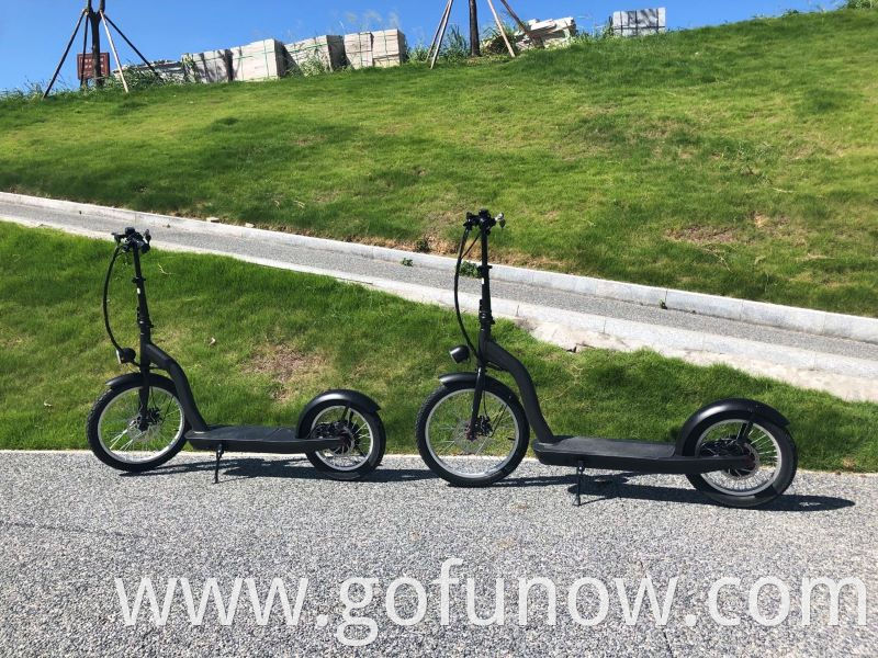 Fashion City Two Wheel Big Tire Electric Scooters Motorcycle 55 km On Sale